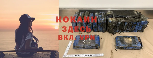 прущие грибы Бугульма