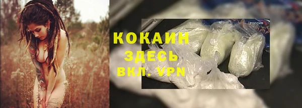 прущие грибы Бугульма