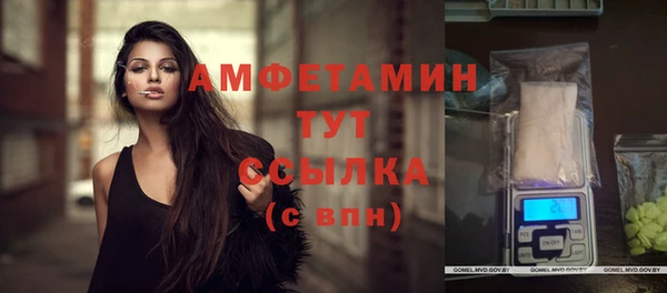 прущие грибы Бугульма